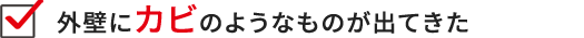 外壁にカビのようなものが出てきた